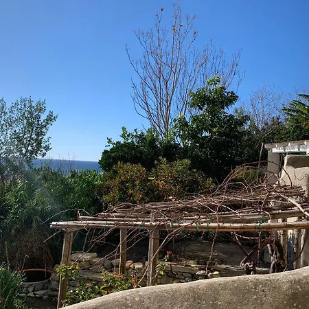 Palazzo Carratelli Amantea