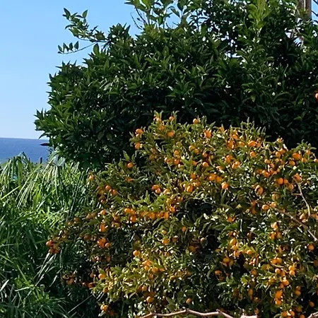 Apartment Palazzo Carratelli